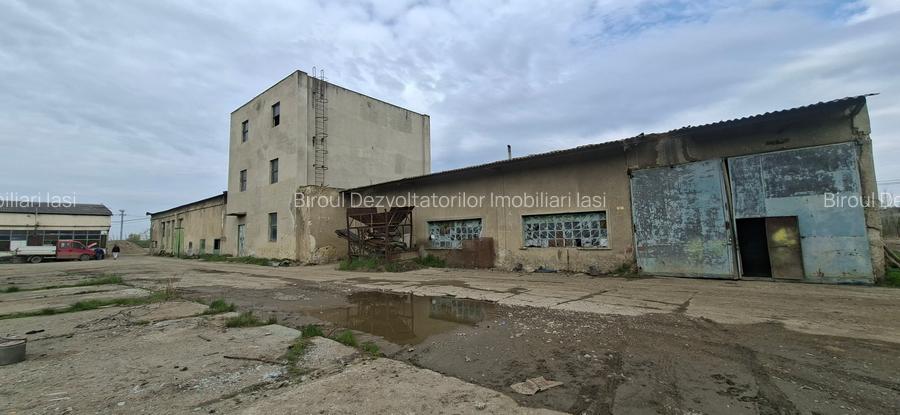 Teren 18.000 mp Holboca l, utilitati, posttrafo, deschidere mare - 11