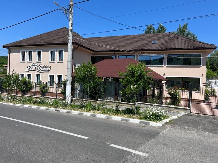 Pensiune 3★ de vânzare – Ocnele Mari (centru),  - 11