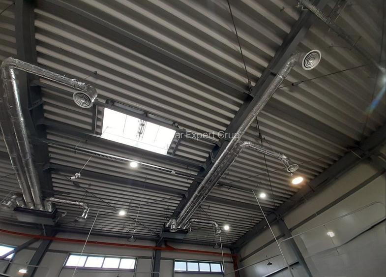 Hala noua in zona Drumul Intre Tarlale - 4