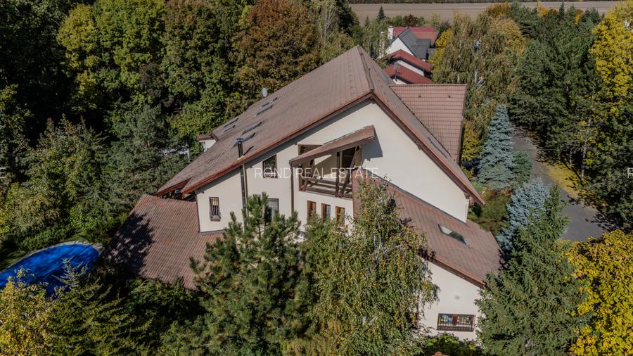 Promotie -  vila langa padure cu piscina-Paradisul Verde - 50