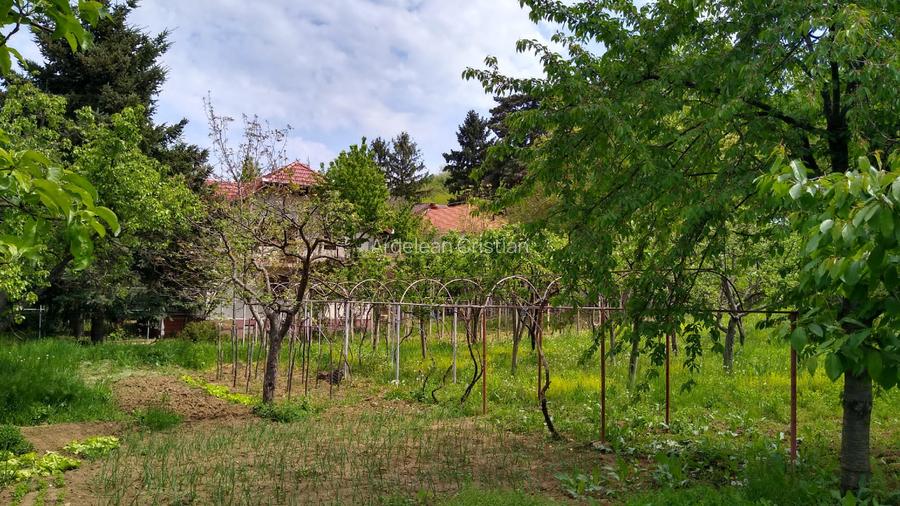 Casa de vanzare in Cuvin com. Ghioroc jud Arad - 8