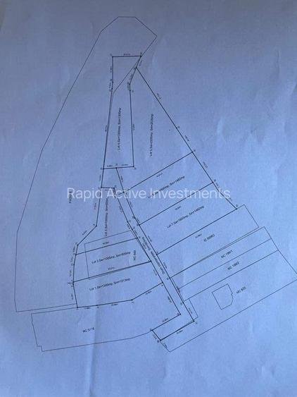 TEREN lac Caldarusani - 3