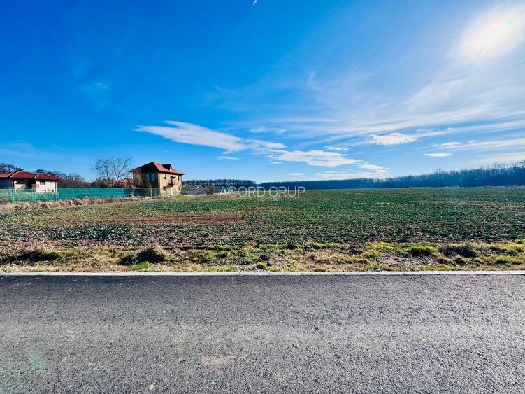 Teren Ciofliceni lângă pădure,Utilități complete Comision 0 - 3