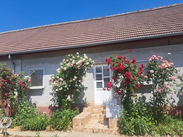 Vand 2 case cu teren - 3