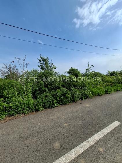 Teren Intravilan - 10