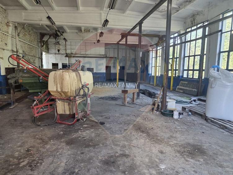 Spațiu industrial 15435 mp. de vânzare in Tinca. - 11