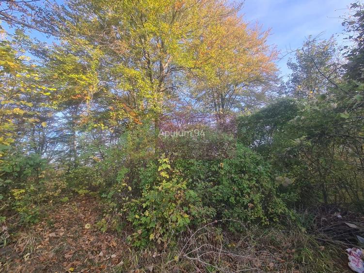 Teren intravilan de vanzare in Telega - 3