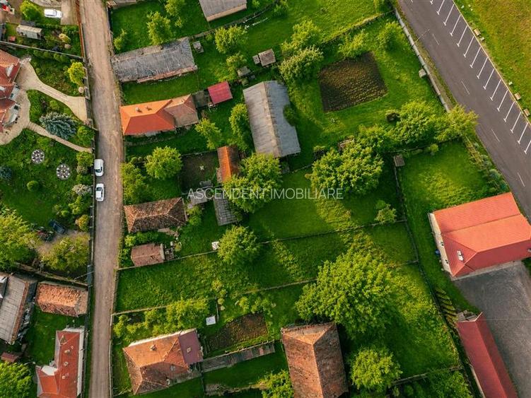 FILM! Gospodarie cu atmosfera traditionala,1.032 mp de verde si gradinarit, Sanz - 6