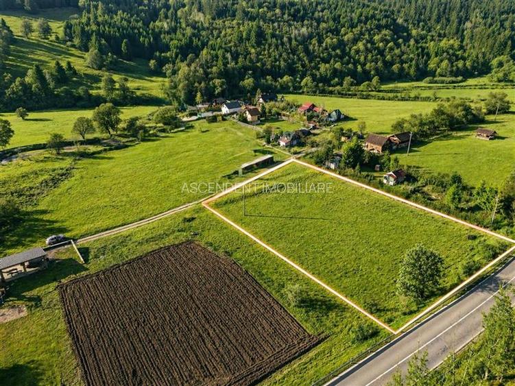 Teren cu potential, 3.100 mp, remarcabila incadrare, langa drumul principal, Cat - 3