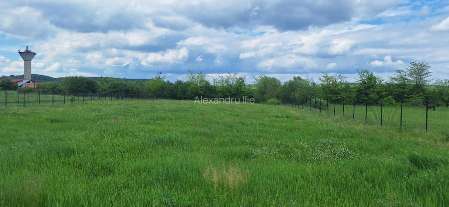 Teren Intravilan, pret atractiv, direct de la proprietar - 3