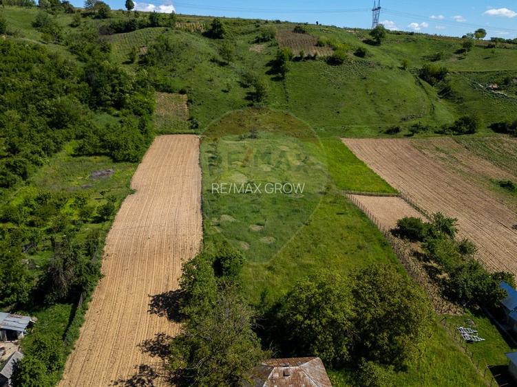 Teren 11.317 mp situat in Parava - Dragusani - Bacau - 3