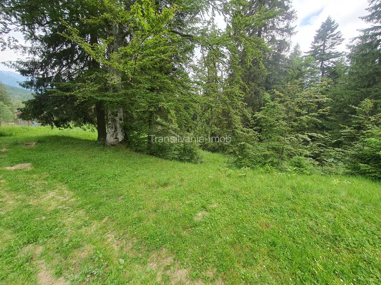 Teren rezidential Predeal , Valea Rasnoavei -  zona de case - 3