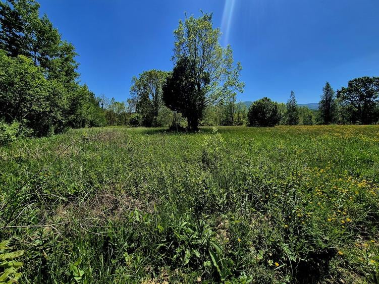 823 mp teren extravilan Sinca Noua/ideal amplasat rulota/cabana