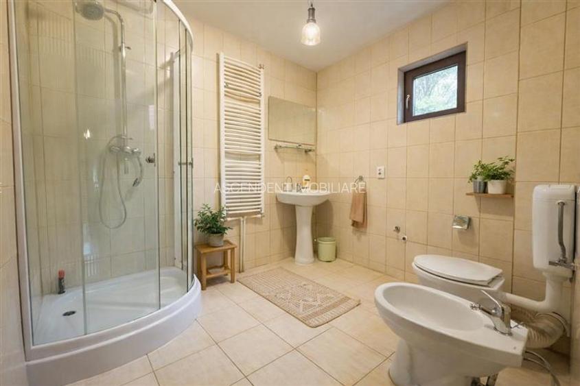 FILM! Rezidenta pe apreciabile conditii, in statiunea Sugas Bai, Covasna - 14