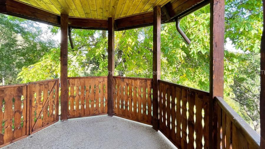 Complex de 3 case pe 18000 mp teren - 34