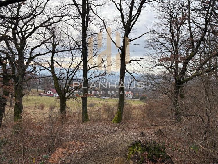 Teren Sisesti la soseaua principala ,langă pensiunea Madlene ,1 ha - 4