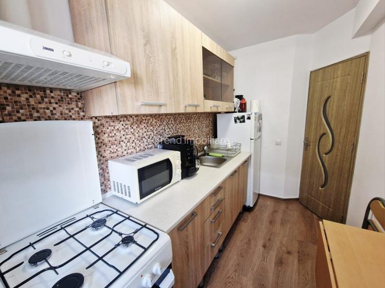 Apartament cu 2 camere decomandate - strada Urusagului - 8