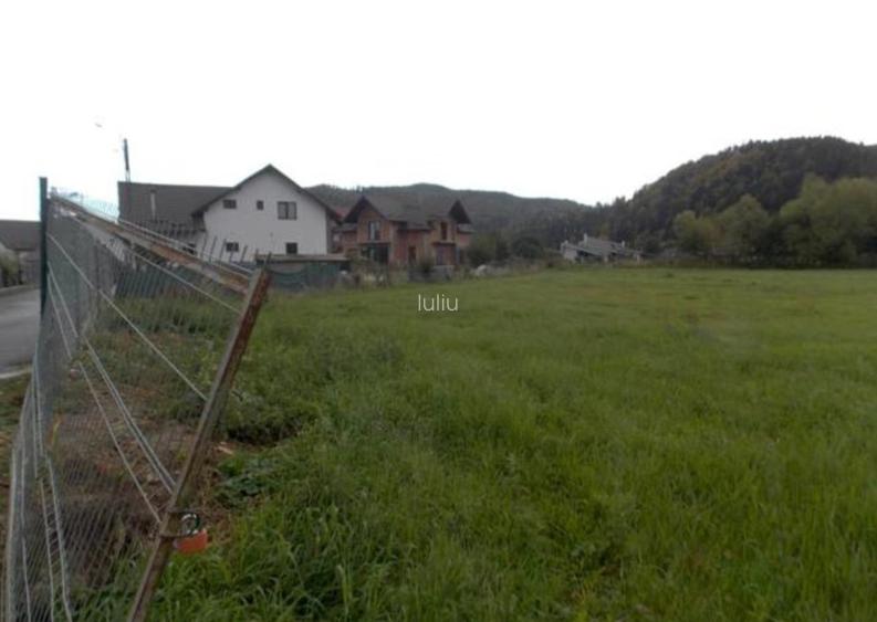 5200 sau 2600 mp teren vanzare,direct proprietar, parcelabil, apropiere Arinis - 6