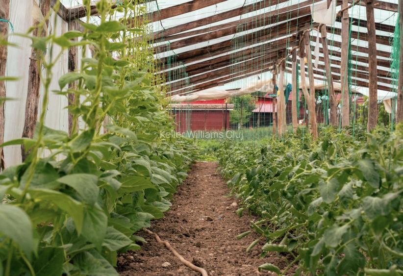 Visează, construiește, culege: Livada Paradisului – De Vânzare - 14