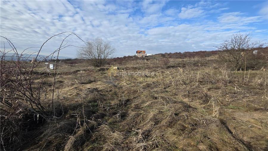 TEREN INTRAVILAN 590 MP  | 2 FRONTURI 17 MP | ZONA CARTIER  VORONET - 7