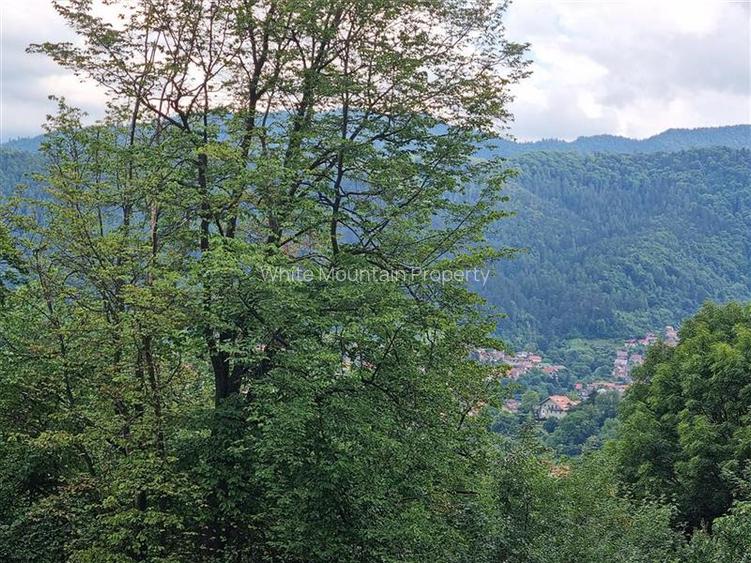 De vanzare: Apartament 3 camere premium Belveo - 30