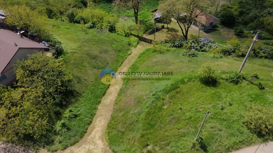Teren 9000 mp intravilan Piatra Neamt , ideal investitie - 6