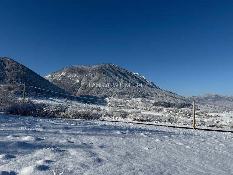 Teren intravilan 500 sau 1000 mp Bran-Tohanita la dum asfaltat - 27