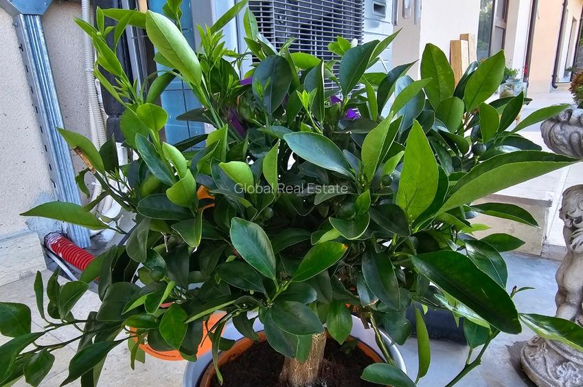 3 Camere Zona Energia Mobilat Utilat Termen Lung - 14