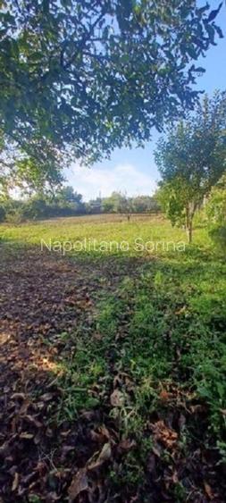 Vand 3413 mp teren intravilan - 10