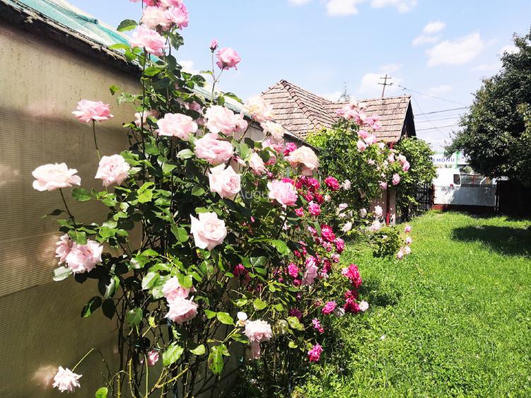 Potențial imobiliar! casa curte, front 15 m, teren 11000 mp - 7