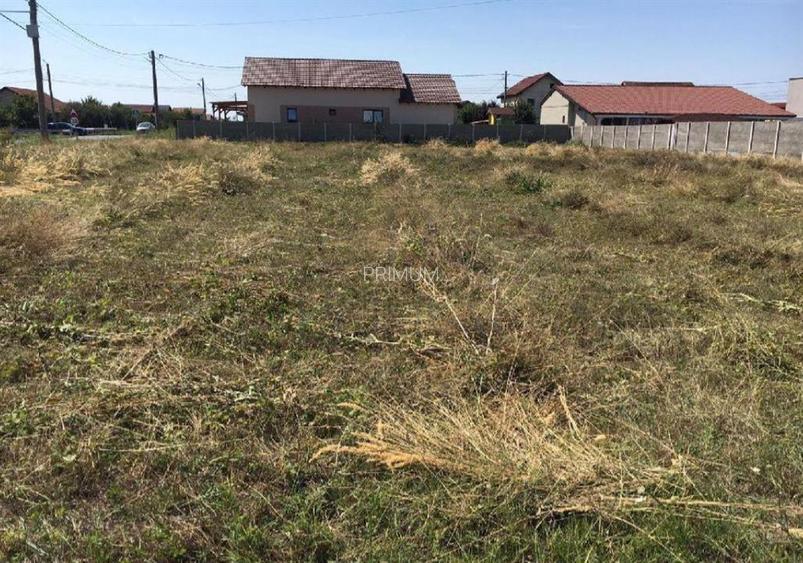 Teren intravilan- MOSNITA NOUA- TOATE UTILITATILE+ strada asfaltata - 2