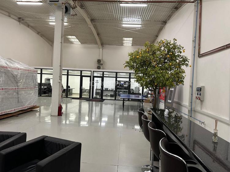 Hala Premium de Inchiriat 302 mp- Arad - 5