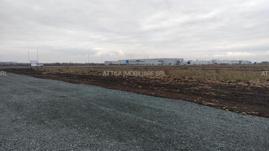 Inchiriez teren 4310 mp in Ghiroda - 2