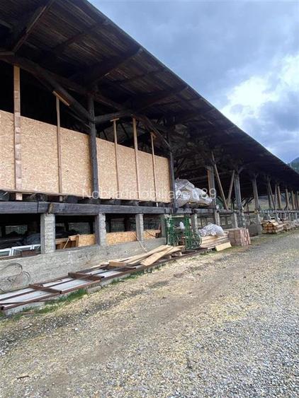 HALE-DEPOZIT DE VANZRE SI TEREN 10000 mp  AGAS jud.Bacau - 9