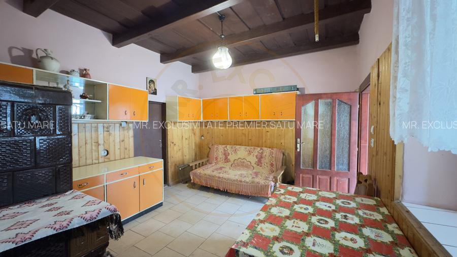 Casă 3 camere, Teren 3.263 mp, Str.Mărășești Nr.16 -Carei-Comision 0% cumpărător - 12