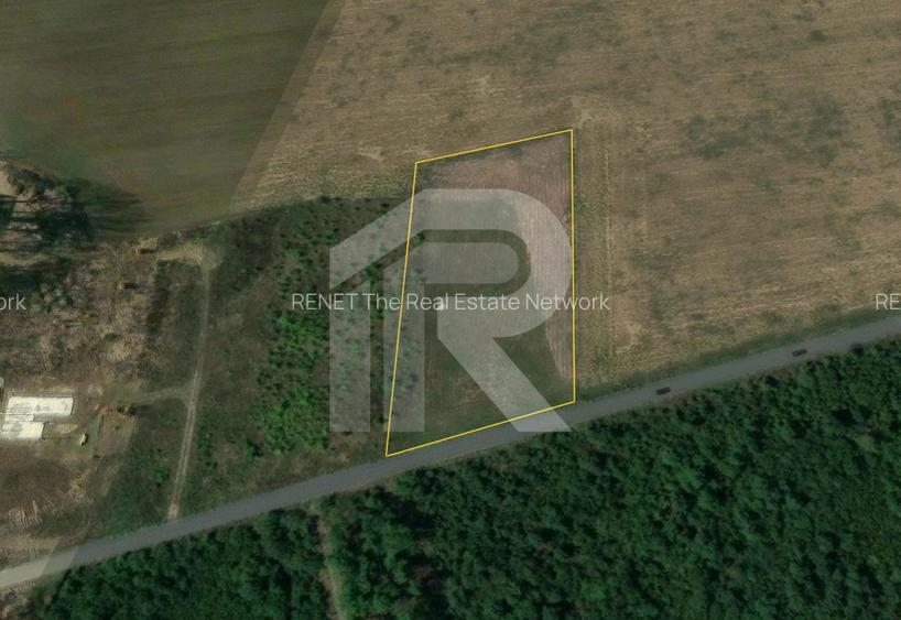 BALOTESTI - EDENLAND -  ideal investitie - Teren 5.254 mp, lângă pădure - 5