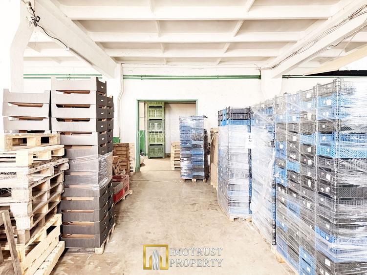 Hala industriala de vanzare Arad – 589 mp - 2