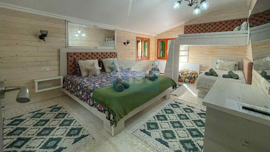 Casa de vacanta superba in Crivaia - 4