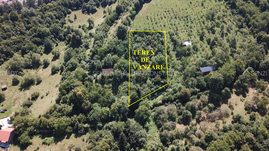 Teren in Scheii Brasovului inconjurat de natura - 5