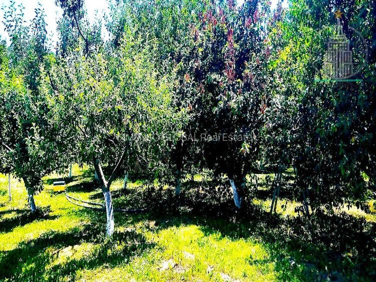 Investitie potential deosebit - Domeniu pe 20.400 mp teren intravilan, Brasov - 3