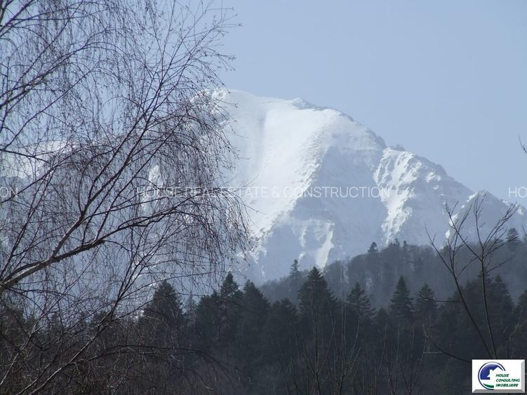 Teren investitional in Predeal-Cioplea - 8