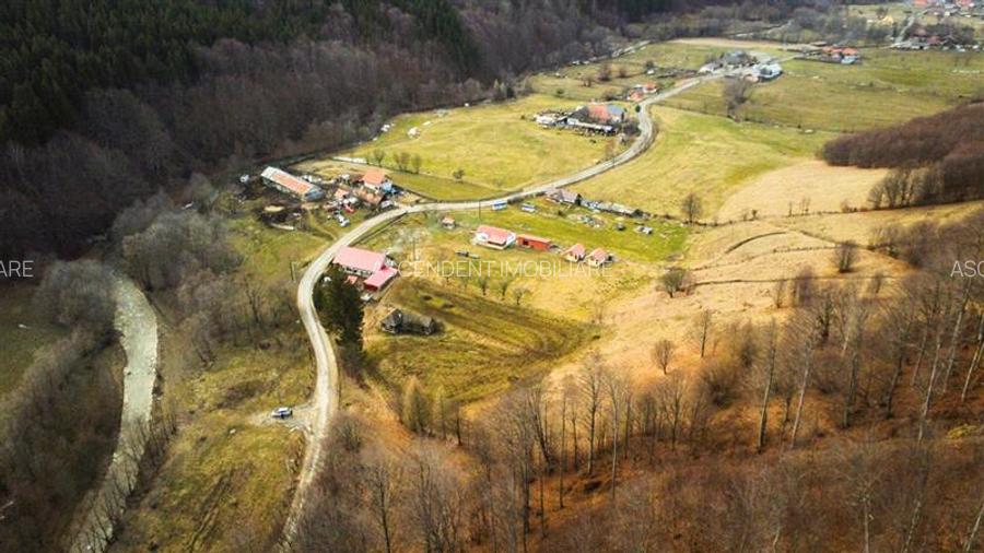 Teren la poalele padurii,Buzaiel,Vama Buzaului,DJ,constructie +utilitati,Brasov - 6