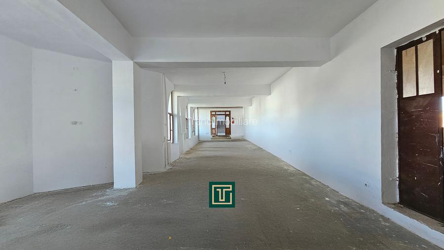 Proprietate multifunctionala - teren generos, cladire si hala in Lugoj - 16