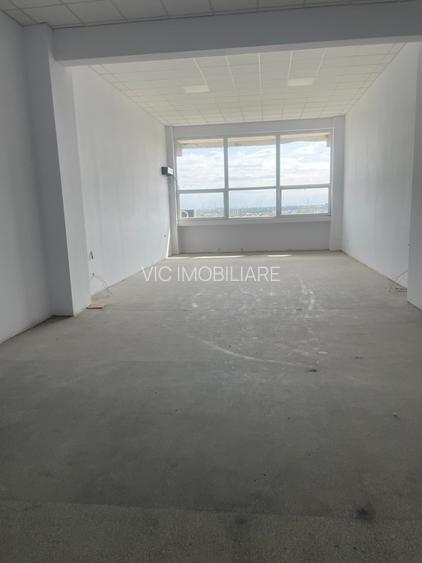 Hala Depozitare / Productie - Theodor Pallady - 2