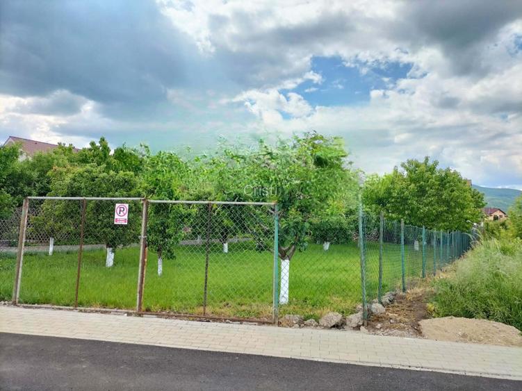  Căsuță de vânzare cu teren generos – 2000 mp – ideală pentru refugiu în natură  - 3