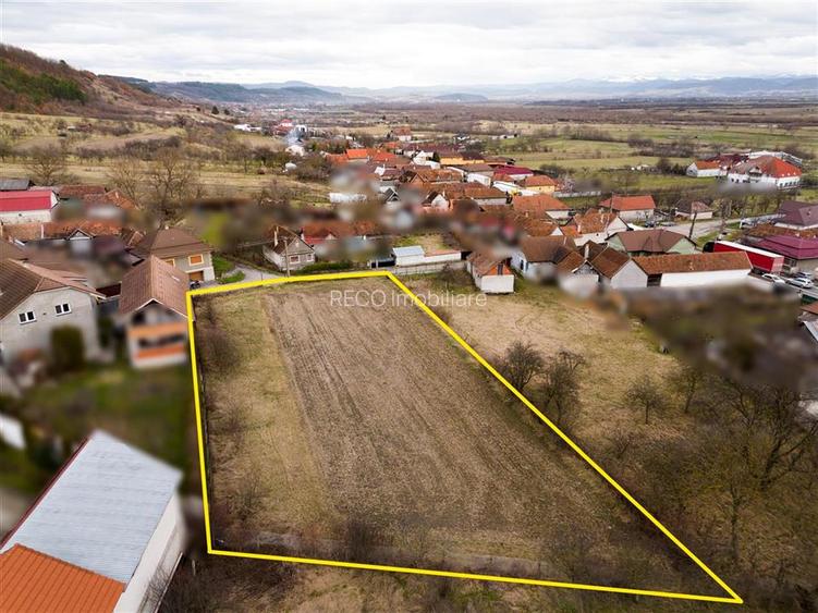 RECO ,teren intravilan in Tinaud,Bihor - 3