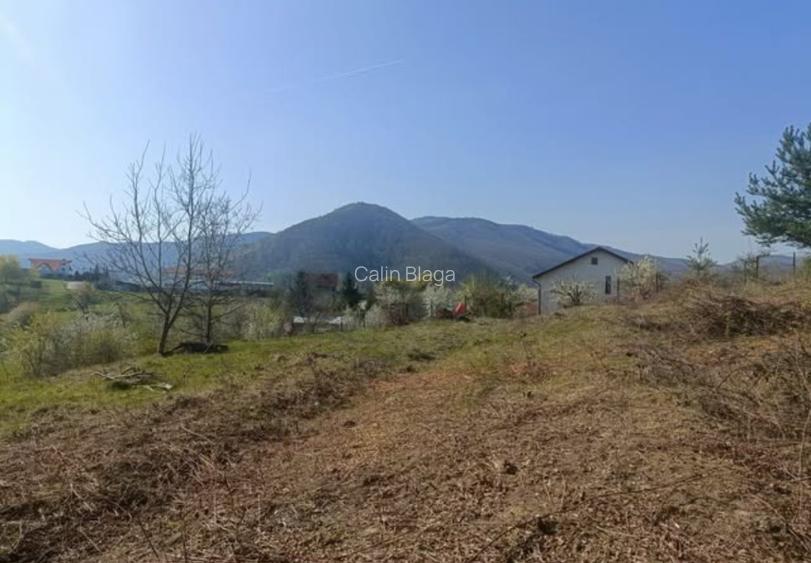 Teren cu vedere superbă in natură  - 3