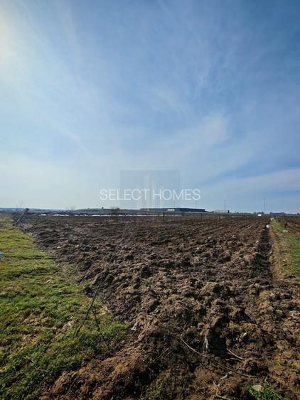 Teren de Vanzare Industrial Caciulati A3 - 9