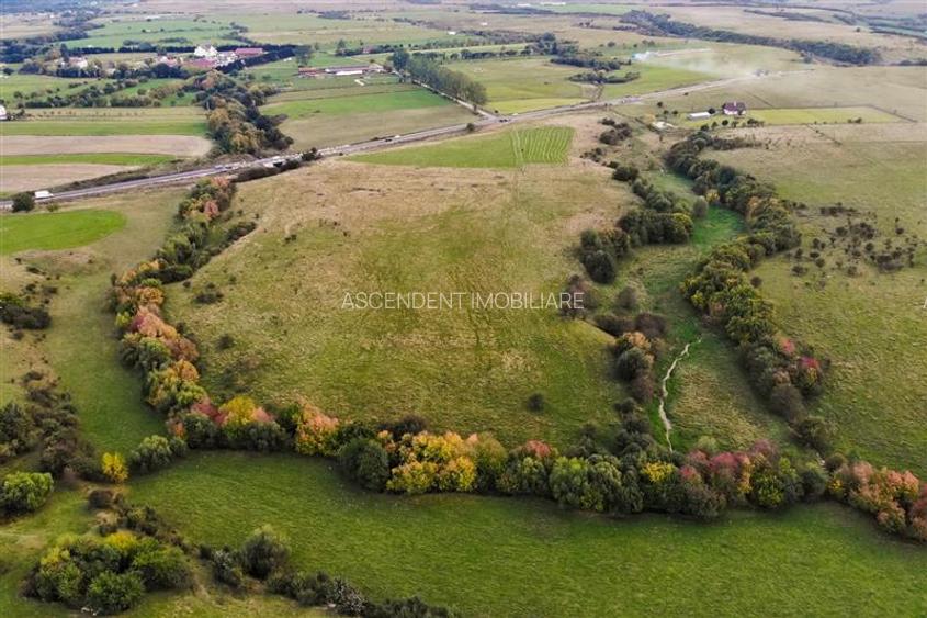 FILM! Parcela imprejmuita,design casa,aviz constructie,1.085 mp,Panicel,Rasnov - 19