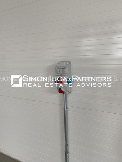 Hala nou construita 2025 de inchiriat - 10